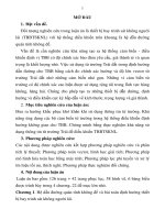 tóm tắt luận án nghiên cứu xác định định hướng không gian của thiết bị bay theo các phép đo từ trường trái đất