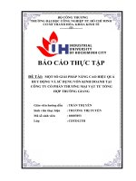 MỘT số GIẢI PHÁP NÂNG CAO HIỆU QUẢ HUY ĐỘNG và sử DỤNG vốn KINH DOANH tại CÔNG TY cổ PHẦN THƯƠNG mại vật tư TỔNG hợp TRƯỜNG GI