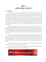 Hướng dẫn sử dụng phần mềm ADOBE FLASH
