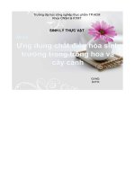 Tiểu luận ứng dụng chất điều hòa sinh trưởng trong trồng hoa và cây cảnh