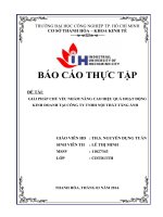 GIẢI PHÁp CHỦ yếu NHẰM NÂNG CAO HIỆU QUẢ HOẠT ĐỘNG KINH DOANH tại CÔNG TY TNHH nội THẤT TĂNG ẢNH