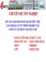 GIẢI PHÁP đẩy MẠNH TIÊU THỤ sản PHẨM vật tư THIẾT bị điện tại CÔNG TY cổ PHẦN NGUYỆT ANH