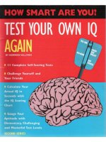Test your own IQ again