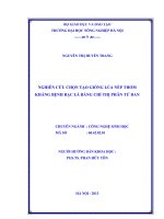 Nghiên cứu chọn tạo giống lúa nếp thơm kháng bệnh bạc lá bằng chỉ thị phân tử DAN