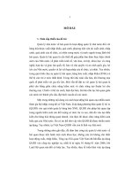 luận văn áp dụng quản lý rủi ro vào qui trình thủ tục hải quan đối với hàng hóa xuất, nhập khẩu