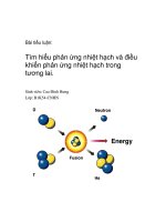 Tiểu luận tìm hiểu phản ứng nhiệt hạch và điều khiển phản ứng nhiệt hạch trong tương lai
