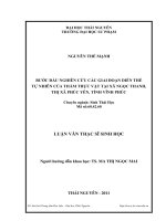 bước đầu nghiên cứu các giai đoạn diễn thế tự nhiên của thảm thực vật tại xã ngọc thanh - thị xã phúc yên - tỉnh vĩnh phúc