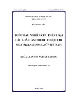 Bước đầu nghiên cứu phân loại các loài làm thuốc thuộc chi Mua (Melastoma L.) ở Việt Nam