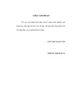 thực trạng và giải pháp thanh tra trên cơ sở rủi ro đối với hoạt động của ngân hàng thương mại