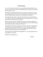 Chiến lược sử dụng bộ đệm và các kỹ thuật định tuyến trong chuyển mạch gói