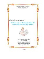 Sáng kiến kinh nghiệm sử dụng một số thí nghiệm thay thế trong dạy học hóa học THCS