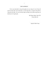 thực trạng và các biện pháp phát triển thị trường nội địa của sản phẩm dây và cáp điện tại công ty cổ phần cáp điện và hệ thống ls – vina