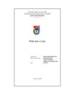 Đề tài tìm hiểu phân bón vi sinh