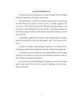 Common errors in the use of post determiners among eleventh grade students at Doi Can high school