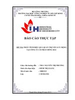 phân tích hiệu quả quản trị vốn lưu động tại công ty cổ phần đông bắc