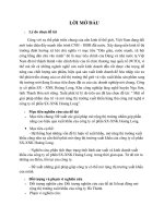 Một số giải pháp nhằm duy trì và mở rộng thị trường xuất khẩu hàng thủ công mỹ nghệ ở công ty cổ phần SX XNK hoàng long