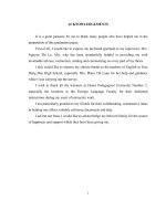 Common errors in the use of Wh Questions made by the Eleventh Grade students at Tran Hung Dao high School