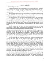 sáng kiến kinh nghiệm Ngữ văn THCS  chiến sĩ thi đua