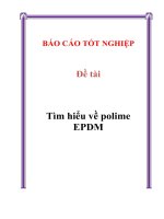 Tiểu luận tìm hiểu về polime EPDM