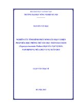 Nghiên cứu tình hình phát sinh gây hại và biện pháp hóa học phòng trừ sâu đục thân hai chấm (tryporyza incertulas walker) hại lúa tại vụ bản, nam định vụ mùa 2012 và vụ xuân 2013