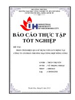 PHÂN TÍCH HIỆU QUẢ sử DỤNG vốn lưu ĐỘNG tại CÔNG TY cổ PHẦN THƯƠNG mại TỔNG hợp NÔNG CỐNG