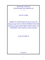 Nghiên cứu sự phát sinh gây hại của rầy nâu nilaparvata lugens stal và sử dụng chế phẩm nấm xanh metarhizium anisopliae trong phòng chống chúng tại xã bình hòa , châu thành , an giang năm 2012