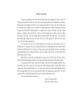 Cồng Chiêng trong đời sống các dân tộc Tây Nguyên thời kỳ 1986 đến 2011