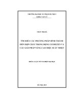 Tìm hiểu các phương pháp hình thành hỗn hợp trong động cơ điezen và các giải pháp nâng cao hiệu suất nhiệt