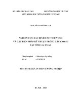 tóm tắt luận án nghiên cứu xác định các tiểu vùng và các biện pháp kỹ thuật trồng cây cao su tại tỉnh lai châu