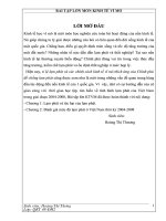 tình hình lạm phát của việt nam trong giai đoạn 2004-2008