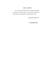 tác động của chính sách tiền tệ đối với hoạt động kinh doanh của các ngân hàng thương mại việt nam