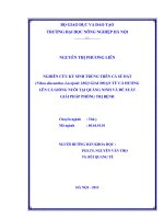 Nghiên cứu ký sinh trùng trên cá sú đất (nibeo diacanthus lacéppède 1802) giai đoạn từ cá hương lên cá giống nuôi tại quảng ninh và đề xuất giải pháp phòng trị bệnh
