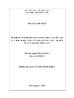 tóm tắt luận án nghiên cứu chuyển gen mã hóa protein bề mặt của virus h5n1 vào cây đậu tương phục vụ sản xuất vaccine thực vậ