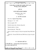 SKKN cấp TP sử dụng tiếng anh trong lớp học