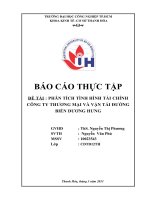 PHÂN TÍCH TÌNH HÌNH tài CHÍNH CÔNG TY THƯƠNG mại và vận tải ĐƯỜNG BIỂN DƯƠNG HƯNG