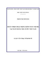 hoàn thiện hoạt động kiểm toán nội bộ tại ngân hàng nhà nước việt nam