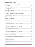 nghiên cứu nhu cầu của thị trường trong nước em đã lựa chọn lập dự án sản xuất đèn trang trí.