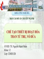 Báo cáo đồ án chuyên ngành chế tạo thiết bị hoạt hóa than từ tre, vỏ dừa