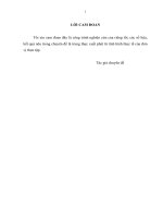 thực trạng và giải pháp phòng ngừa, hạn chế rủi ro tín dụng tại ngân hàng tmcp sài gòn công thương – chi nhánh cầu giấy