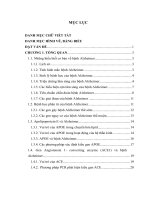 nghiên cứu trạng thái kiểu gen apolipoprotein e, angiotensin 1- converting enzym trên bệnh nhân alzheimer tại bệnh viện lão khoa trung ương