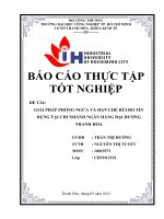 GIẢI PHÁP PHÒNG NGỪA và hạn CHẾ rủi RO tín DỤNG tại CHI NHÁNH NGÂN HÀNG đại DƯƠNG THANH hóa