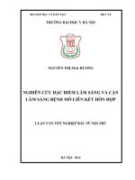 nghiên cứu đặc điểm lâm sàng và cận lâm sàng bệnh mô liên kết hỗn hợp