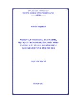 Nghiên cứu ảnh hưởng của tuổi mạ, mật độ cấy đến sinh trưởng phát triển và năng suất lúa lai hai dòng TH 7 2 tại huyện phù ninh, tỉnh phú thọ