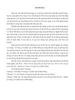 phân tích xây dựng hiện giá thuê hoặc mua  đối với tàu chở gỗ tuyến sài gòn – manila tại công ty cổ phần vận tải biển đông