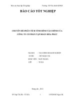 PHÂN TÍCH TÌNH HÌNH TÀI CHÍNH CỦA CÔNG TY CỔ PHẦN TẬP ĐOÀN HÒA PHÁT