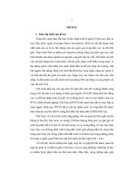 luận văn đầu tư trực tiếp của doanh nghiệp việt nam vào cộng hoà dân chủ nhân dân lào