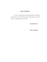 mô hình công nghiệp hóa của một số nước đông á - bài học kinh nghiệm và khả năng vận dụng vào việt nam