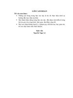 Giải pháp nâng cao hiệu quả hoạt động marketing cho nghiệp vụ huy động vốn tại ngân hàng thương mại cổ phần đầu tư và phát triển việt nam – chi nhánh thanh hóa