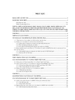 nâng cao năng lực tài chính ngân hàng đầu tư và phát triển việt nam