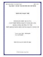 tóm tắt luận án đánh giá hiệu quả của can thiệp động mạch vành qua da bằng cộng hưởng từ tim trên bệnh nhân hội chứng mạch vành cấp